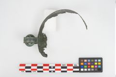 Foto von Bronzehenkelschale (NHMW-PRAE-026730)